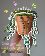 Sun Catcher Plant Workshop – June 20, 2026